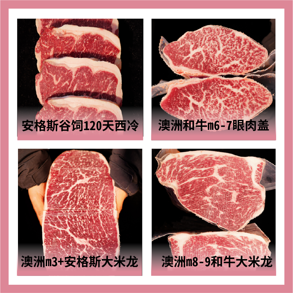 上海至極國際集團